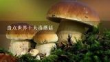 盘点世界十大毒蘑菇,有哪些比较常见的有毒蘑菇以及可食用蘑菇种类