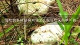 好吃的茶树菇焖鸡翅怎么做好吃又简单，做,鸡肉顿干茶树菇怎么做好吃