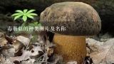 毒蘑菇的种类图片及名称,哪些蘑菇有毒？
