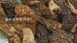 茶树菇种植技术及利润？茶树菇有哪些种植技术？