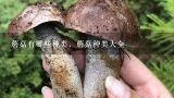蘑菇有哪些种类，蘑菇种类大全,蘑菇的种类有什么？