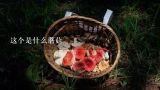 是野生茶树菇吗,这个是什么蘑菇