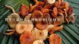 野生红菇和人工种植的有什么区别?红菇高产种植技术？