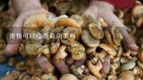 烫伤可以吃蘑菇菌类吗,小孩可以吃菌类食物吗？