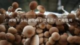 广州哪里有长期收购干货香菇？产地随州,香菇干货发布在哪个类目下？