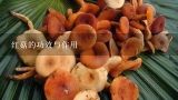 红菇的功效与作用,红菇的功效与作用及禁忌介绍
