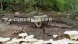 黑龙江省的去哪里买香菇菌种,我在牧丹江想买灵芝菌种灵芝去哪里买？