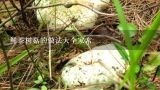 鲜茶树菇的做法大全家常,如何做干锅茶树菇怎么做好吃 茶树菇的做法大全