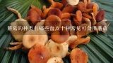 可以食用的蘑菇有哪些,常见的毒蘑菇有哪些