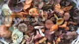 蘑菇是否有毒的鉴别方法？怎样鉴别野生的蘑菇是否有毒？
