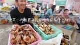 东北菜小鸡炖蘑菇的详细做法是什么啊？！,小鸡炖蘑菇怎么烧？