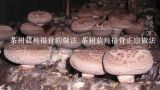 茶树菇炖排骨的做法 茶树菇炖排骨正宗做法,新鲜茶树菇炖排骨汤的做法