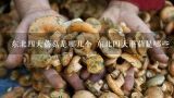东北四大蘑菇是哪几个 东北四大蘑菇是哪些,“东北特产”冬蘑肉质细腻、口感极佳，如何做最好吃
