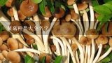 菌菇种类大全名字,各种蘑菇图片及名称有哪些？