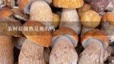 茶树菇做熟是脆的吗,茶树菇口感脆脆的是没熟吗?