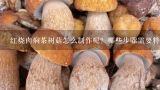 红烧肉焖茶树菇怎么制作呢？哪些步骤需要特别注意容