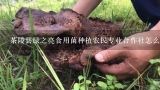 茶陵县绿之亮食用菌种植农民专业合作社怎么样？