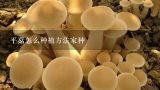 平菇怎么种植方法家种,平菇的种植方法是什么？