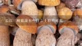 长江三峡旅游有些什么土特产可买,论文:食用菌产业的发展现状