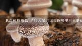 我想种植蘑菇,请问大家有谁知道哪里有卖蘑菇包的?我在北京顺义,知道的朋友麻烦提供一些信息,谢谢了!