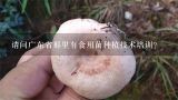 请问广东省那里有食用菌种植技术培训?柳州地区有学习种植食用菌的培训班吗？
