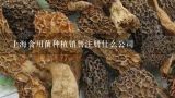 上海食用菌种植销售注册什么公司,安顺宏发食用菌栽培有限责任公司介绍？