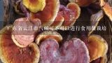 广东省云浮市气候可不可以进行食用菌栽培,想在广东学食用菌栽培技术