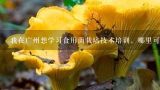 我在广州想学习食用菌栽培技术培训，哪里可以？草菇栽培技术