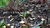 中国十大食用菌生产基地有哪些,食用菌生产基地的设计(老师的作业)