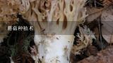 蘑菇种植术,有人知道在哪可以学到真正的香菇种植技术吗？