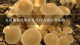 食用菌栽培培养基可以合成培养基吗,食用菌栽培技术