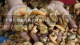 牛粪长出来的蘑菇能吃吗？牛粪种植食用菌技术，怎么发酵成有机肥料