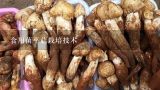 食用菌平菇栽培技术,请问，云南省内哪里有人工食用菌的栽培技术培训？
