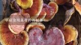 草菇食用菌母种的制备,菌种制作方法 教程，附食用菌种植技术