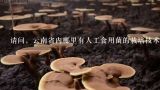 请问，云南省内哪里有人工食用菌的栽培技术培训？我想学食用菌种植栽培技术，不知道江西有哪些地方有种植或者培训的。再就是，食用菌前景怎样。。