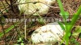 在福建古田县有哪些常见的食用菌品种？