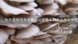 你需要使用多少蘑菇培养基来制作这些菇体呢？