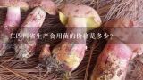 在四川省生产食用菌的价格是多少？