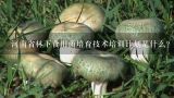 河南省林下食用菌培育技术培训计划是什么？