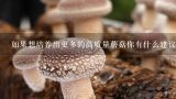 如果想培养出更多的高质量蘑菇你有什么建议可以分享给初学者们呢？