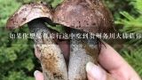如果你想要在旅行途中吃到贵州务川大脚菇你可以去哪些地方找到这样的美食呢?