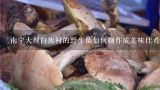 南宁大理白族村的野生菌如何制作成美味佳肴?