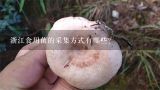 浙江食用菌的采集方式有哪些?