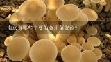 南京有哪些主要的食用菌资源?
