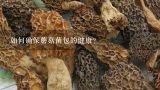 如何确保蘑菇菌包的健康?