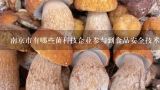南京市有哪些菌科技企业参与到食品安全技术推广?