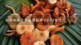如何确保食用菌蘑菇种子的可靠性?