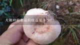 大棚种植蘑菇的收益是多少?