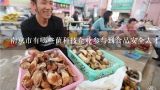 南京市有哪些菌科技企业参与到食品安全人才培养?