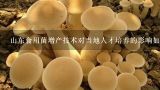 山东食用菌增产技术对当地人才培养的影响如何?